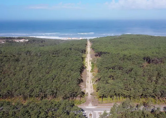 Vale Furado Sea & Serenety - By Sch - C 公寓 *